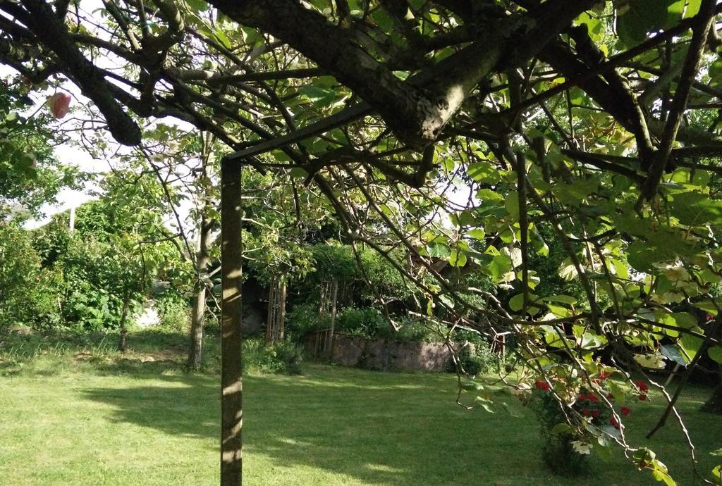 Fenouillet  Gentil'Home - Toulouse B&B Prestige المظهر الخارجي الصورة