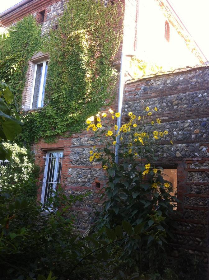 Fenouillet  Gentil'Home - Toulouse B&B Prestige المظهر الخارجي الصورة